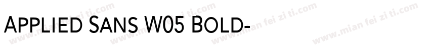 Applied Sans W05 Bold字体转换